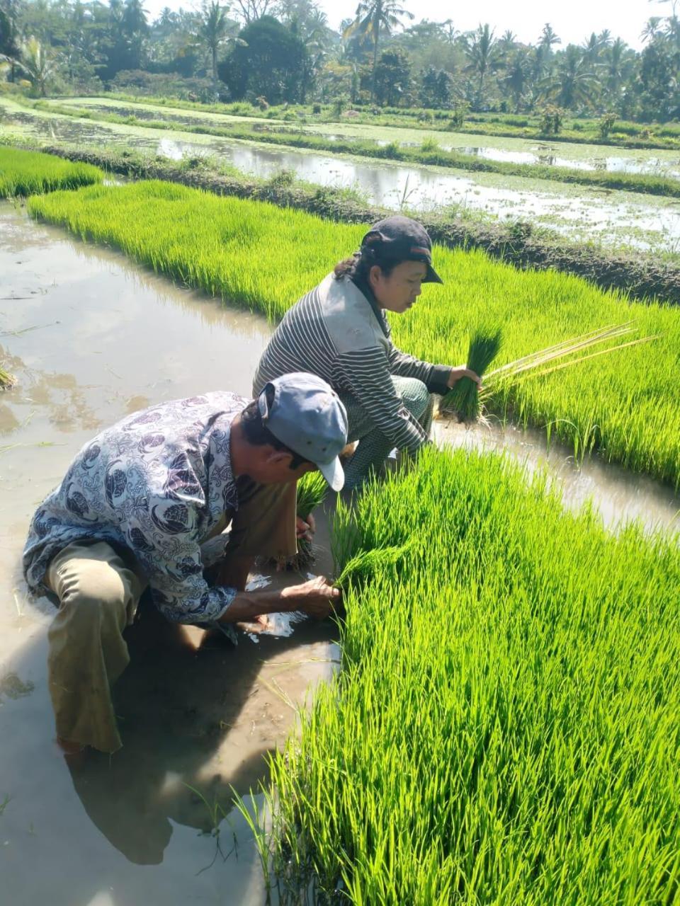Wikan House Bebandem Bagian luar foto